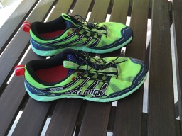 swimrun shoes