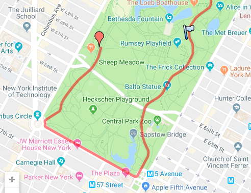 A Google map showing the last miles of the New York Marathon