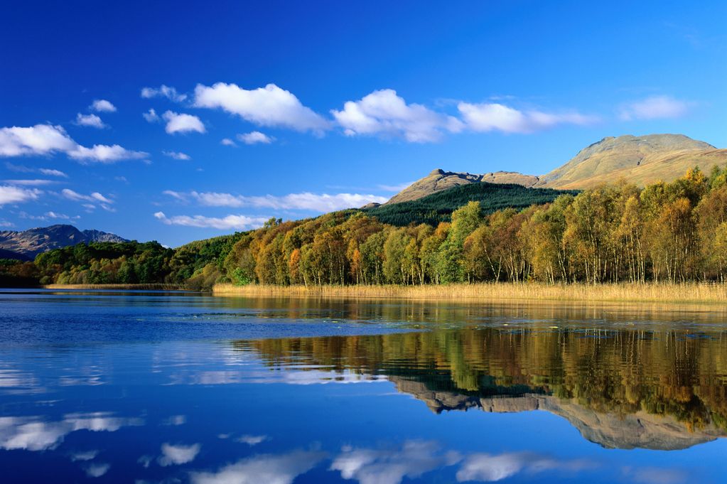 Loch Lomond on a sunny day, with very calm water, blue skies, and woodland on the opposite shore.
