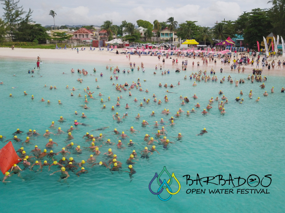 Aerial view looking down at swimmers in the sea before the start of the Barbados open water festival