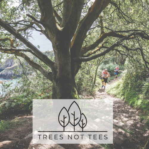 swimrunners running through a forest near a river